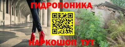 шишки Ликино-Дулёво