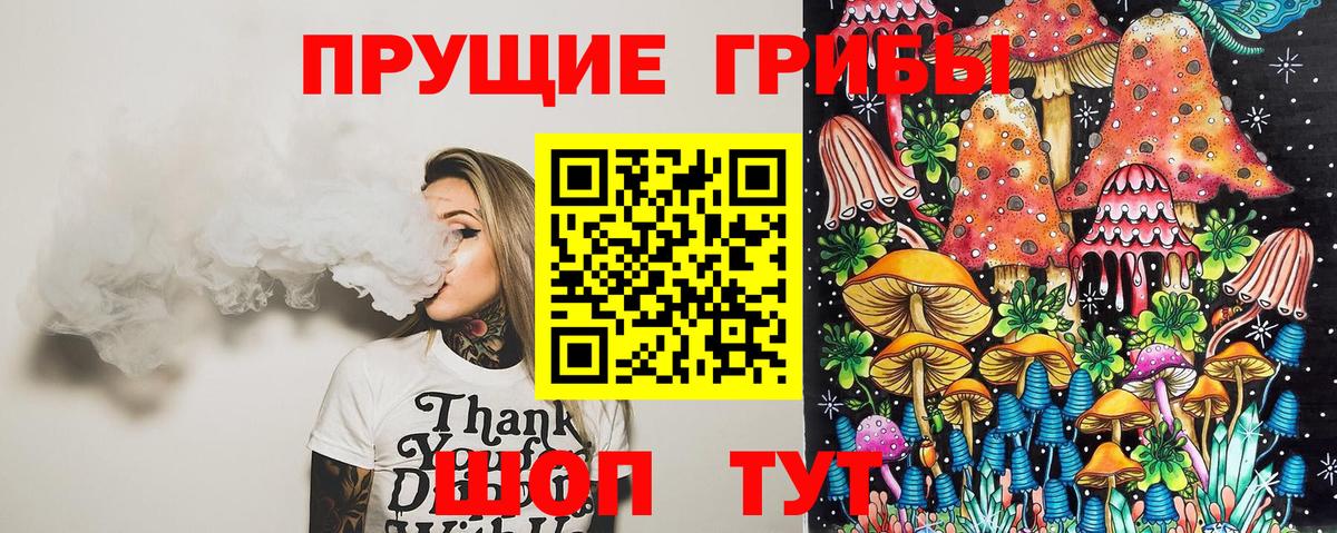 Псилоцибиновые грибы Psilocybe  Вход с VPN  Ишимбай  Галлюциногенные грибы прущие грибы 